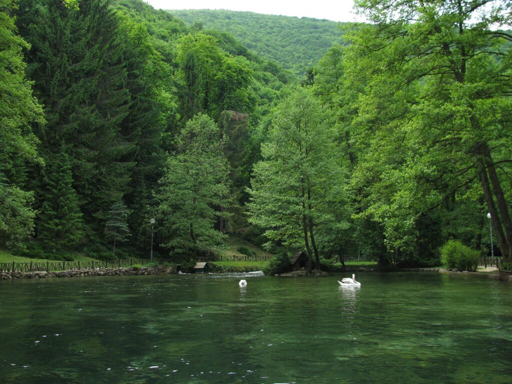 Saraybosna yakınlarında, Bosna Nehri'nin kaynağındaki yeşil Vrelo Bosne parkı